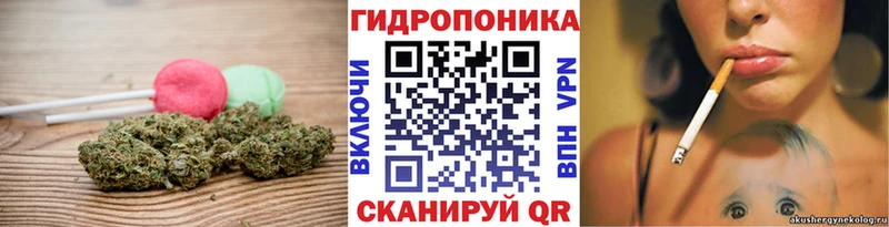 Еда ТГК марихуана  omg   Монино 