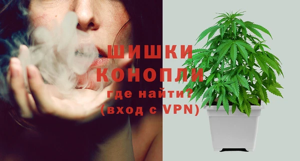 apvp Кодинск