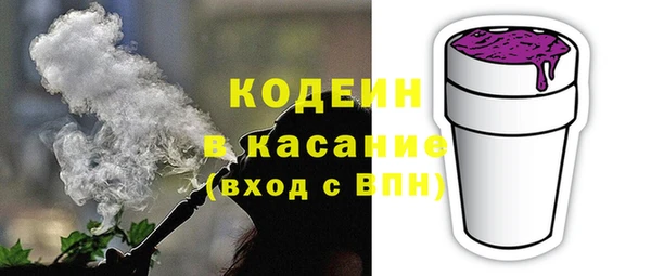 прущие грибы Нестеровская