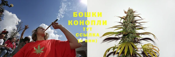 apvp Кодинск