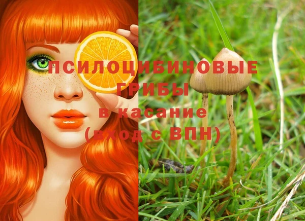 apvp Кодинск