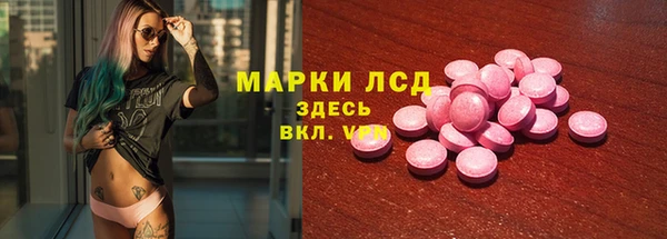 прущие грибы Нестеровская