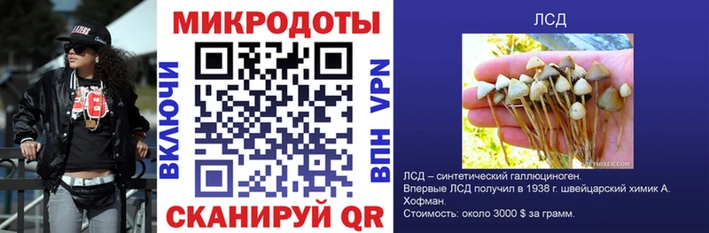 Псилоцибиновые грибы Magic Shrooms  купить наркотики цена  Монино 